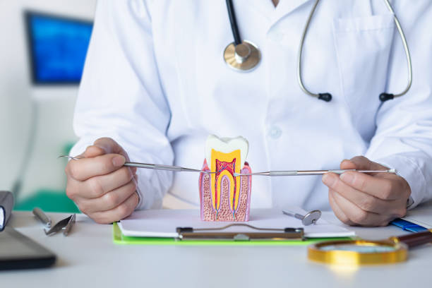 Best Emergency Dental Services for Seniors in Odenton, MD